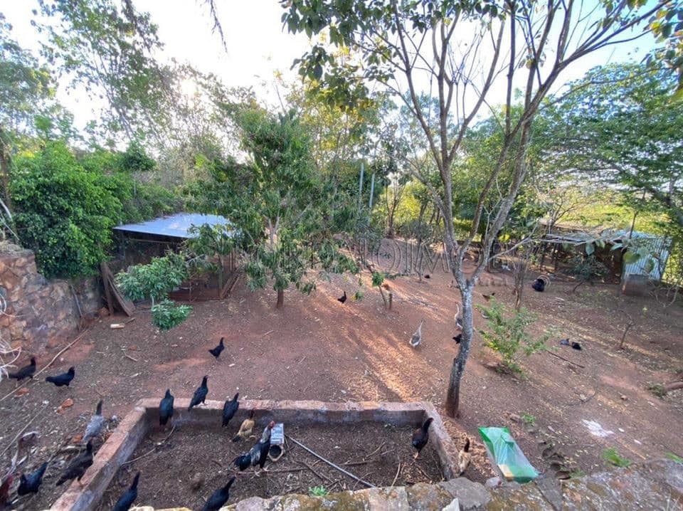 SHIN QL 3, LAGO NORTE, BRASILIA - Foto 10