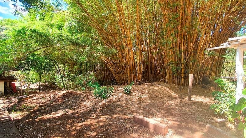 SMPW Quadra 28, PARK WAY, BRASILIA - Foto 49