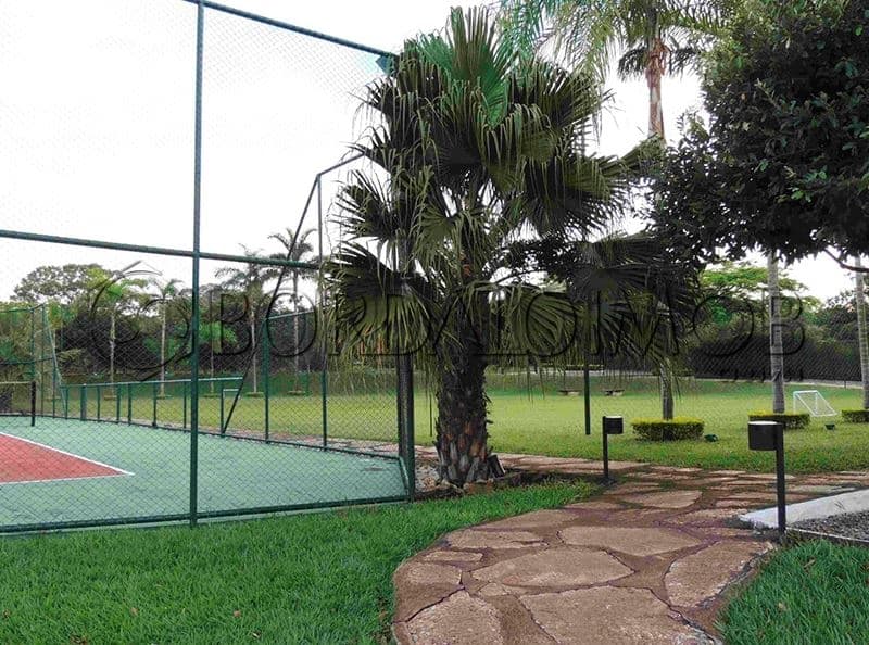 SMPW Quadra 7, PARK WAY, BRASILIA - Foto 10