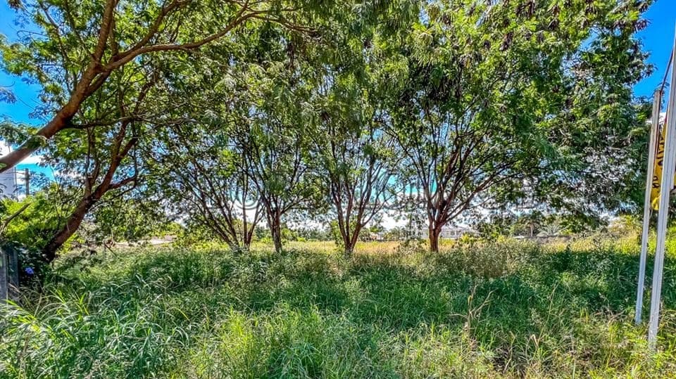 SMDB Conjunto 12, LAGO SUL, BRASILIA - Foto 9