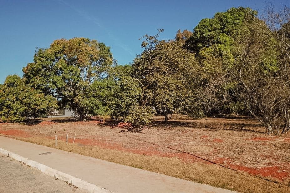 SMPW Quadra 15, PARK WAY, BRASILIA - Foto 5